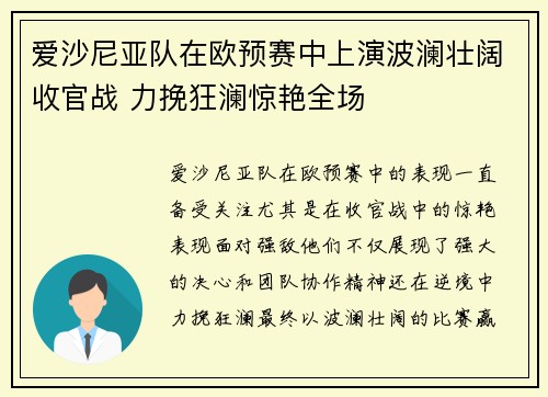 爱沙尼亚队在欧预赛中上演波澜壮阔收官战 力挽狂澜惊艳全场